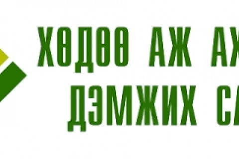 Н.Төмөрхүүгийн эзгүйд дэд дарга нар нь архидаж, зодолджээ