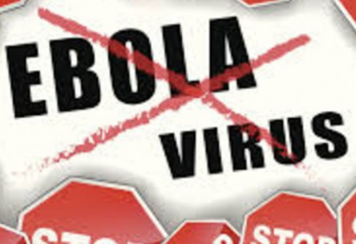 Испани улсад Эбола вируст халдварын тархалт зогслоо
