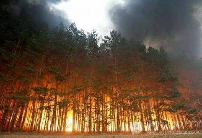 Хөвсгөл аймгийн Улаан-Уул сум, Сэлэнгэ аймгийн Хүдэр суманд ойн түймэртэй байна
