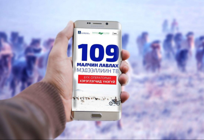 “Малчин лавлах-109” төвөөс ноолуурын үнийн мэдээллийг танилцууллаа