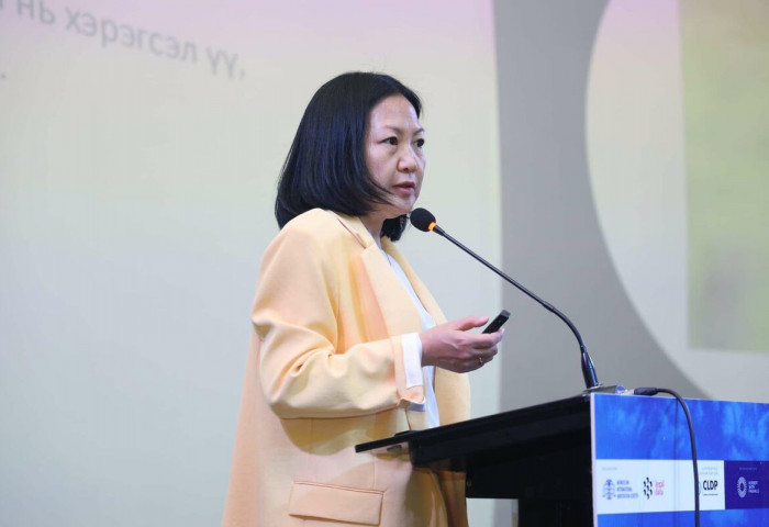 Т.Алтангэрэл: Хэрэг огт үүсгээгүй байхад өөрийгөө очиж шалгуул гэдэг нь хүний эрх талаасаа Үндсэн хуульд харшилна