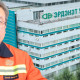 Төсвийн саалийн үнээг “алж идэхээр“ завдсан хориод компани хэнийх байв?