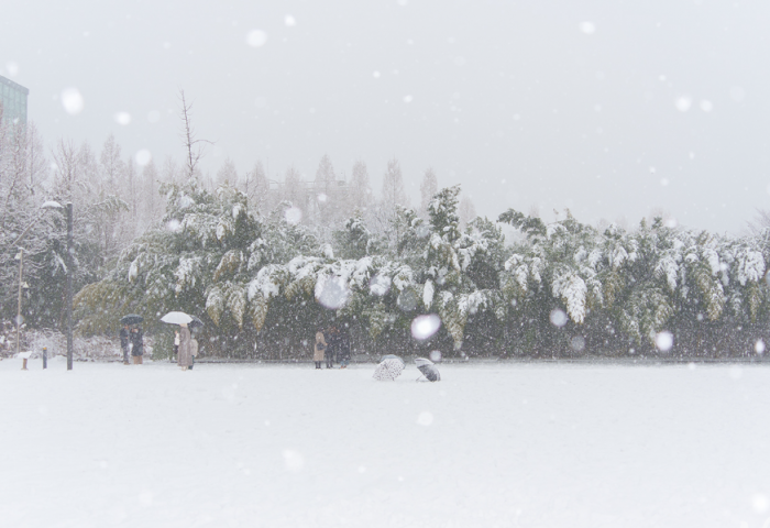 Сөүл хотод цас их хэмжээгээр орсон нь гамшгийн нөхцөл байдал үүсгэжээ