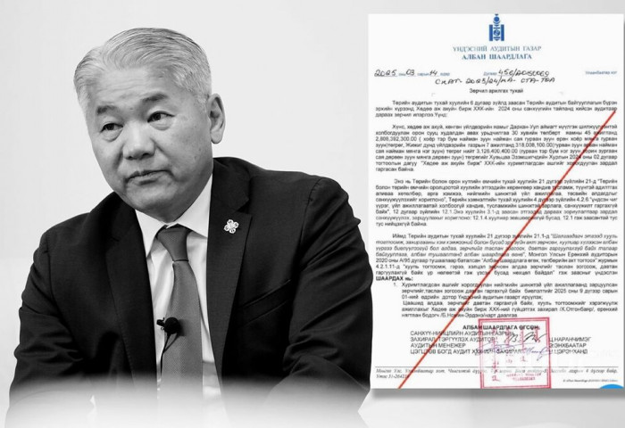 Ж.Энхбаяр ТӨХХК-ийн ашгаас 52 хүн тус бүрд ₮60 сая тараасан зөрчлөө арилгана уу