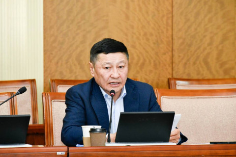 Н.Алтанхуяг: Засгийн газар маш хурдтай ажиллах ёстой