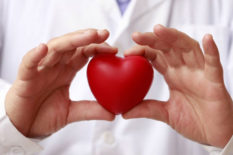 Сэтгэлээ сайжруулж, гэгээрэл рүү тэмүүл