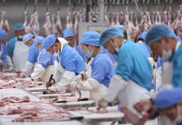 5 тонн мах худалдаад 72 сая төгрөг залилуулсан хэрэг цагдаагийн байгууллагад бүртгэгджээ