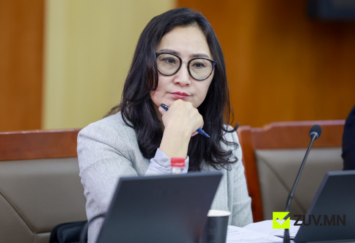 Cонгуулийн авлигыг зогсоох төсөл