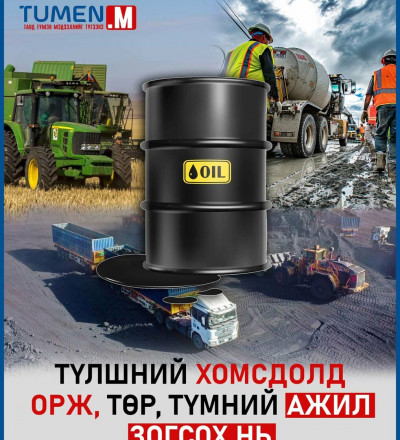 Түлшний хомсдолд орж, төр, түмний ажил зогсох нь