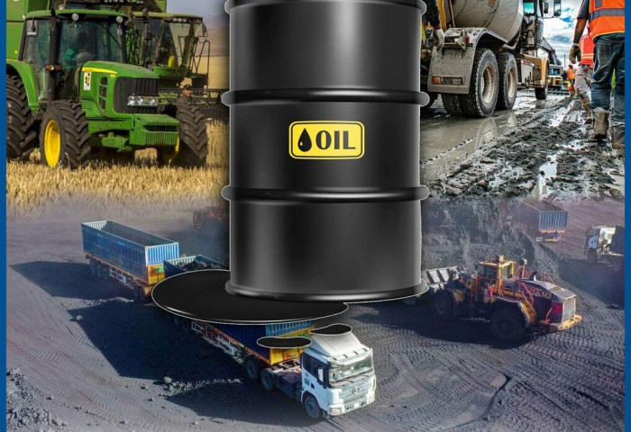 Түлшний хомсдолд орж, төр, түмний ажил зогсох нь