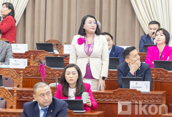 Улаан, ягаанаар ижилссэн эмэгтэй гишүүд эсэргүүцсэн ч Ерөнхийлөгч санасандаа хүрэв