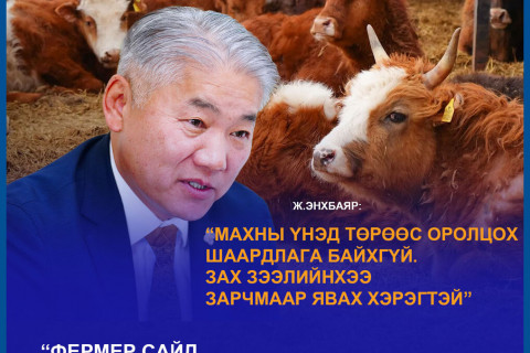 Фермер сайд махны үнэ өсөж байгаад баяртай байна