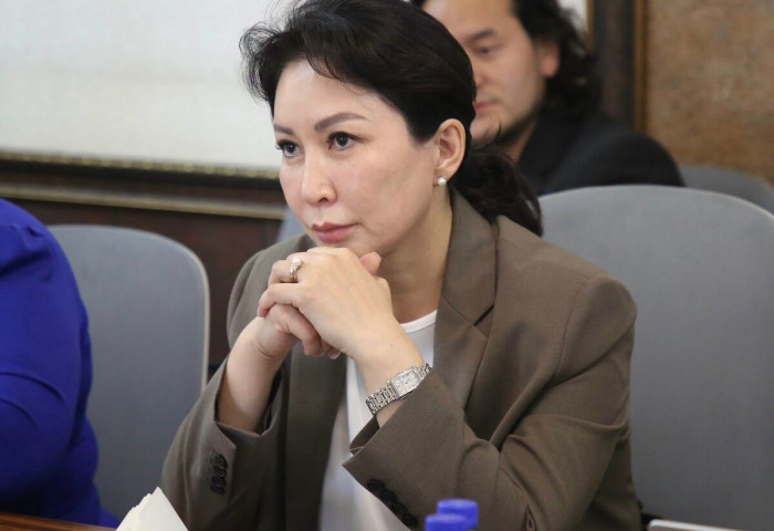 Өлзийт, Соёл хүүхдийн зуслангийн газар эзэмшил, өмчлөлийн асуудлыг шийдвэрлүүлэх хүсэлт тавьлаа