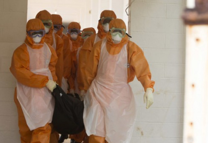 Эбола вирус ДОХ-оос аюултай