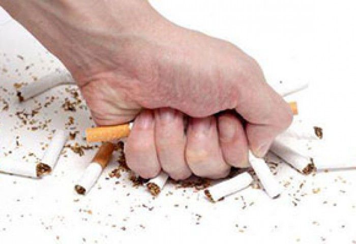 Тамхины хэрэглээ буурснаар Үйлдвэрлэгчид өөр арга руу шилжиж байна