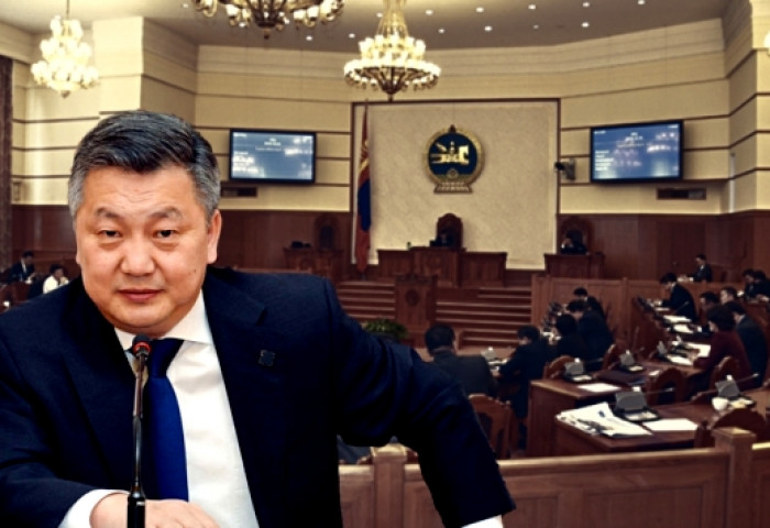 Монгол төрийн цагдаа нар Төрөөсөө хууль гуйж байна, УИХ-ын дарга аа!