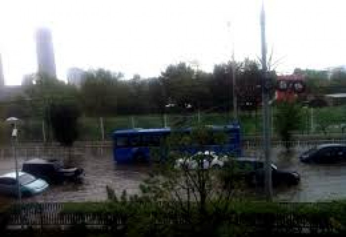 Бороо орно