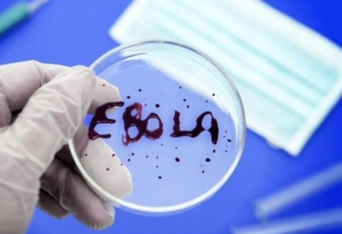 Дэлхий нийтийг түгшээсэн “Эбола” вирус