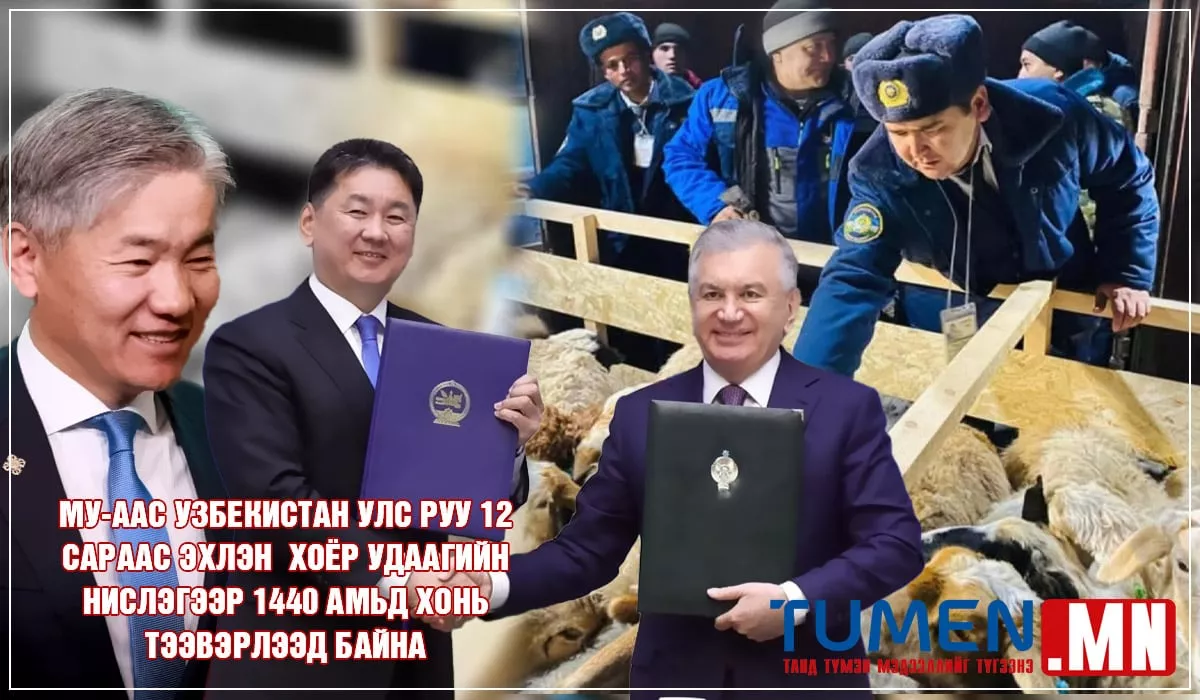 Узбекистан улсад амьд хонь экспортолж эхэллээ