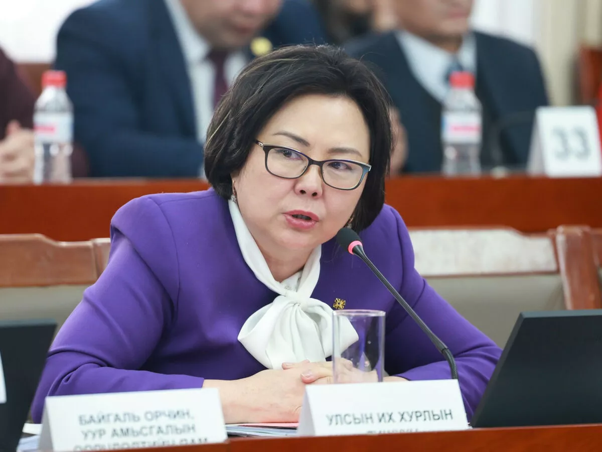 С.Одонтуяа: Улс орнууд утаанаас салахын тулд цахилгаан эсвэл хийг  ашиглаж байна