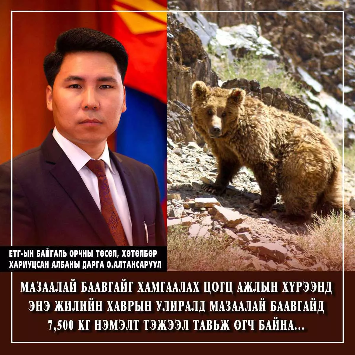 Ерөнхийлөгчийн санаачилгаар Мазаалай баавгайг хамгаалах ажил амжилттай өрнөж байна