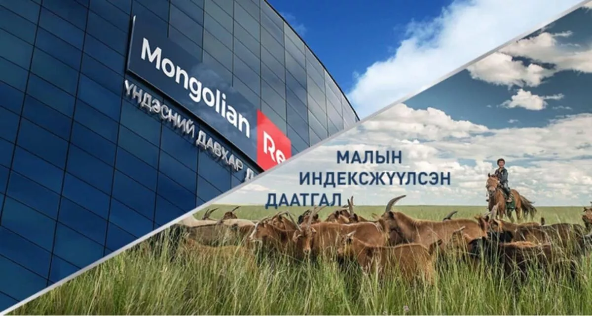 Малчид малын индексжүүлсэн даатгалын үр шимийг амсаж байна