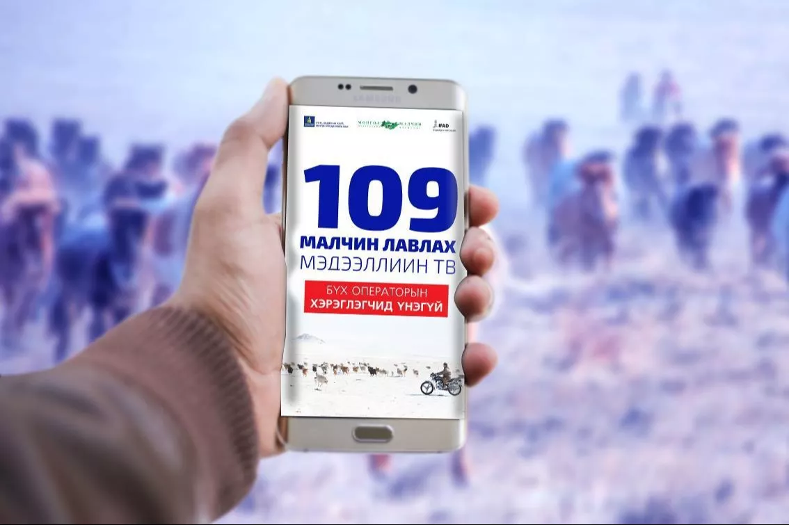 “Малчин лавлах-109” төвөөс ноолуурын үнийн мэдээллийг танилцууллаа
