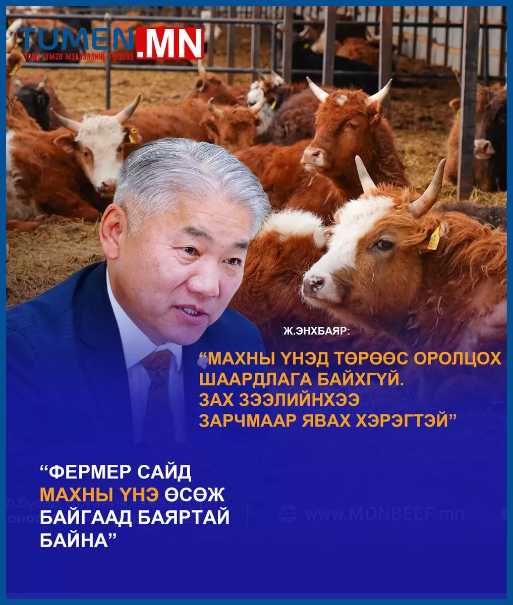 Фермер сайд махны үнэ өсөж байгаад баяртай байна