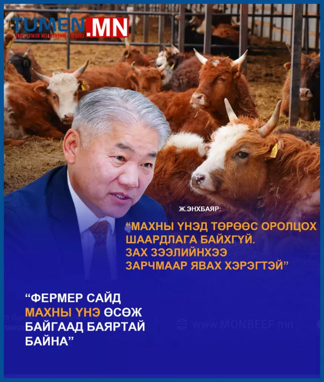 Фермер сайд махны үнэ өсөж байгаад баяртай байна