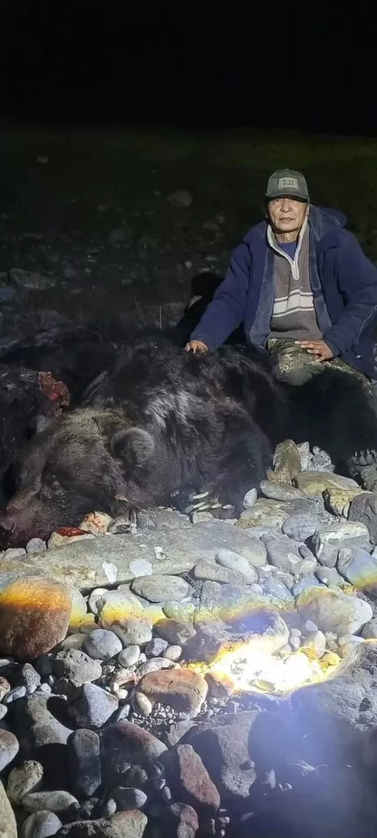 Үхэр барьсан баавгайг ахмад анчин Ж.Лаагансүрэн устгаж, аюулгүй болгожээ