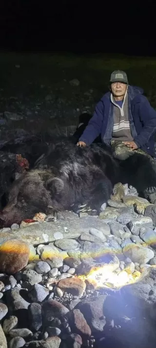 Үхэр барьсан баавгайг ахмад анчин Ж.Лаагансүрэн устгаж, аюулгүй болгожээ