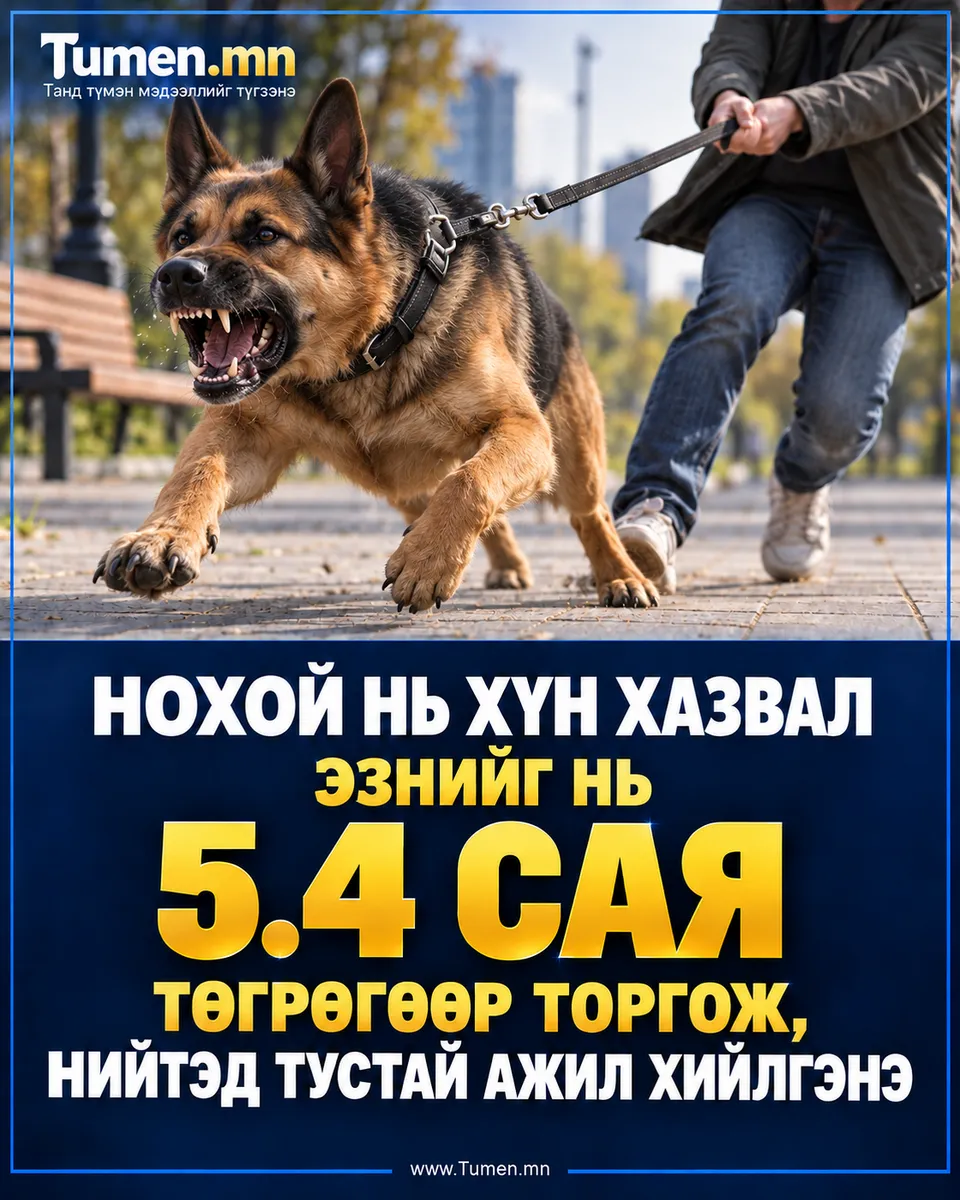 Нохой тэжээдэг айл өрх бүр хариуцлагатай байхыг анхааруулж байна