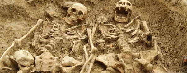 Гар гараа "атгалцсан" араг ясыг олжээ