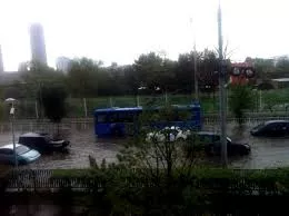 Бороо орно