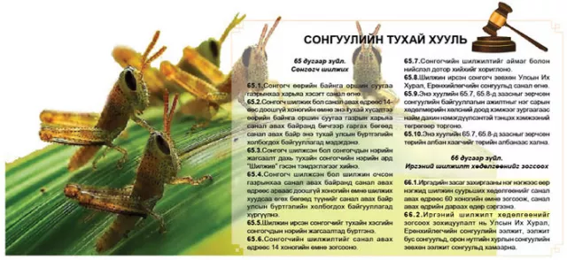 Хүн царцаануудад тооцох хуулийн хариуцлага байна уу?